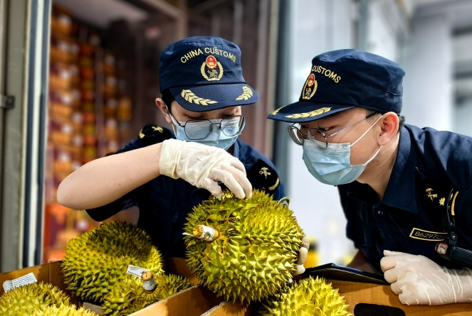 海南国际快递报关