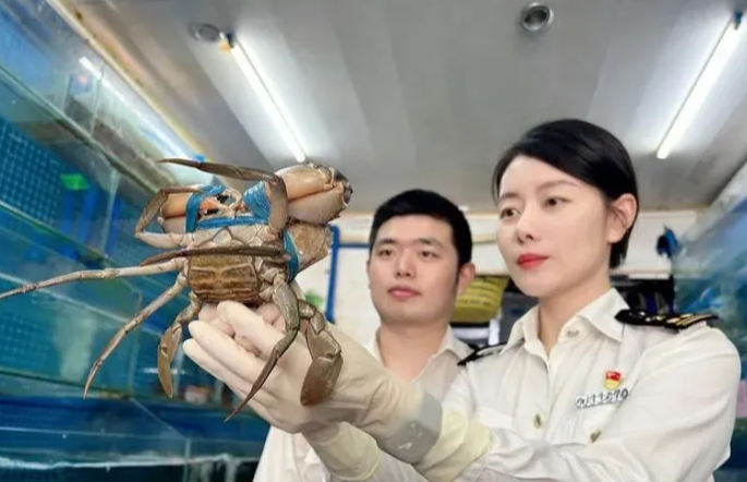 关于进口韩国野生水产品检验和卫生要求有哪些？