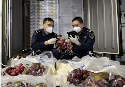 海南水果进出口报关流程