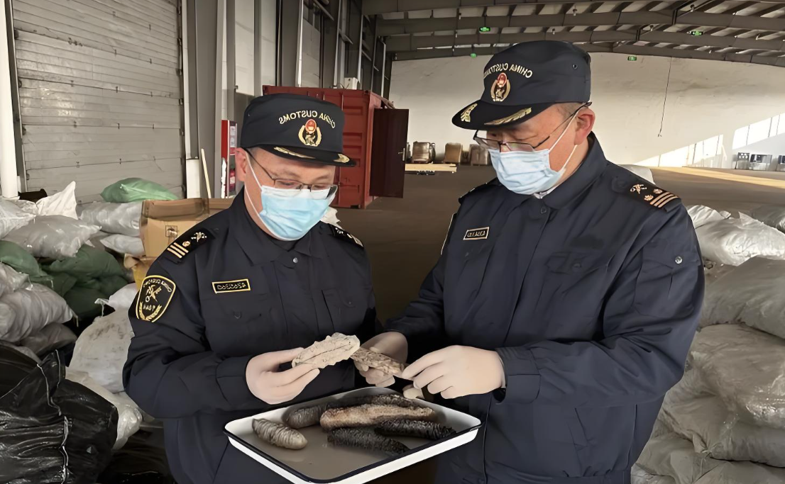 海南自贸港零关税进口海参通关流程