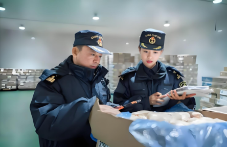 海南零关税进口黑麦脆面包片通关