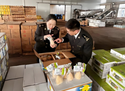 海南自贸港零关税进口果酱果冻罐头通关专家