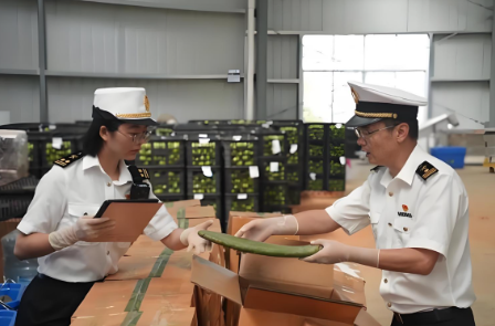 海南化工品报关｜危险品合规通关方案